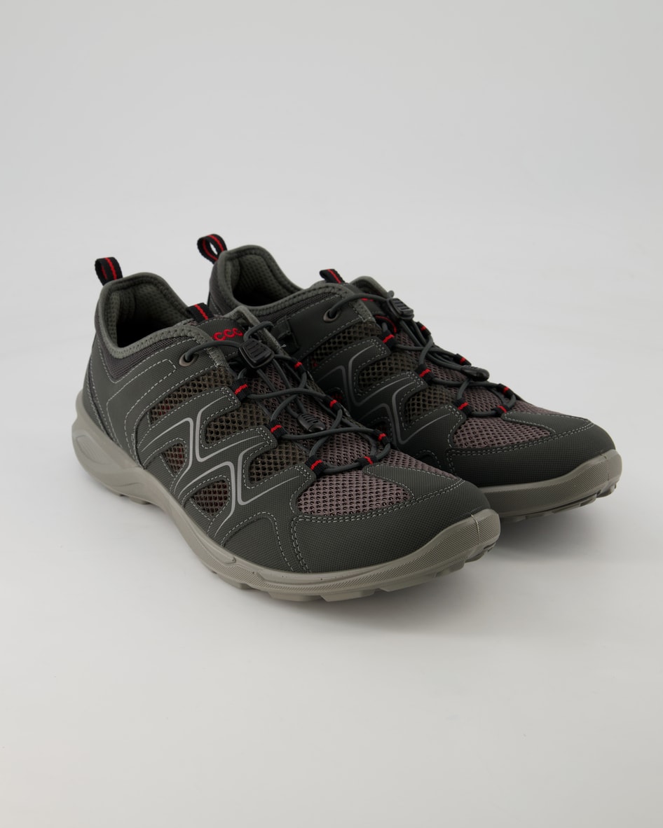 Ecco Terracruise LT M Wanderschuhe in Grau