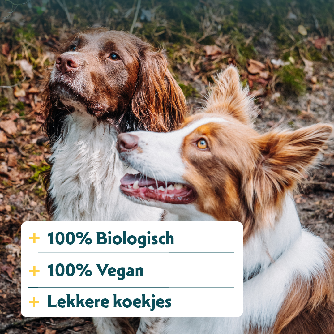 Yarrah - Hondensnack Vega Hondenkoekjes Multi Kleine Honden Bio