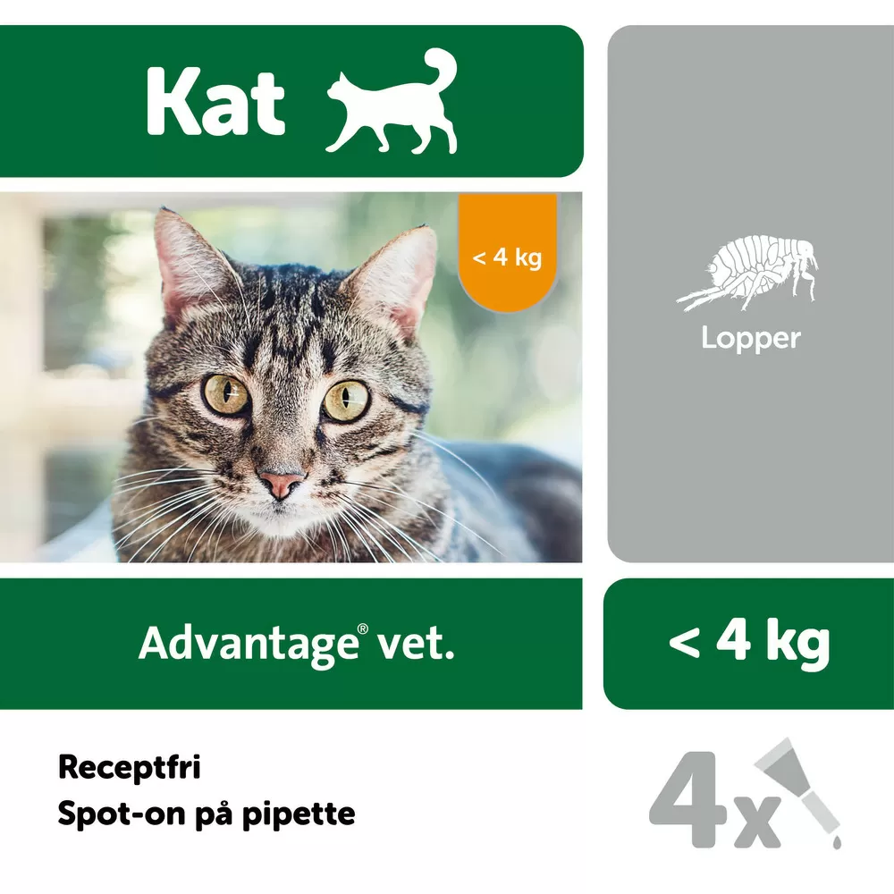 Advantage pour-on Vet kat, 0-4 kg