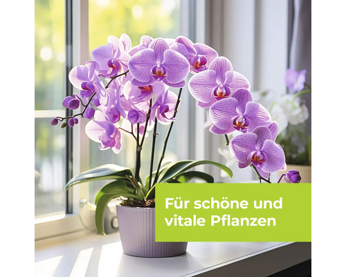 Orchideeën schoonheidsbehandeling Protect Garden 20 ml
