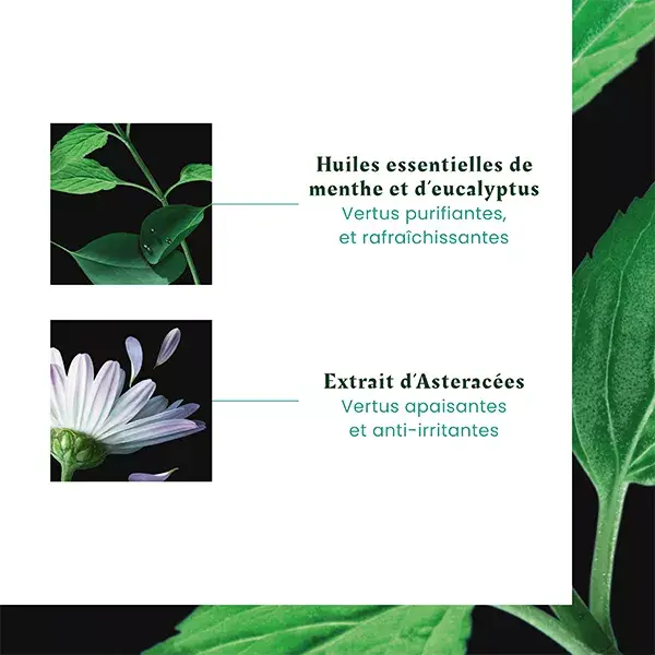 René Furterer Head Spa Astera Fresh Concentré avec Embout Massant 50ml