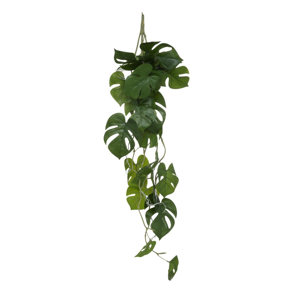 TIGE TOMBANT MONSTERA GALA H.85CM