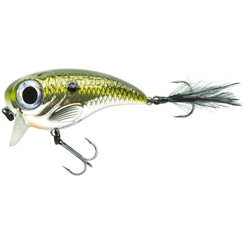 Leurre Flottant Spro Fat Iris 60 - 6Cm