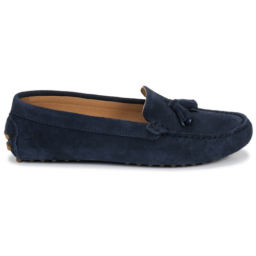 Casual Attitude - GATO - Marine