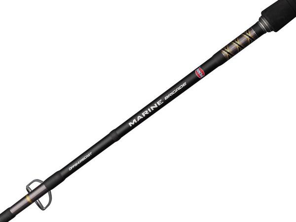 Canne Spinning Penn Marine Brigade Offshore Cast