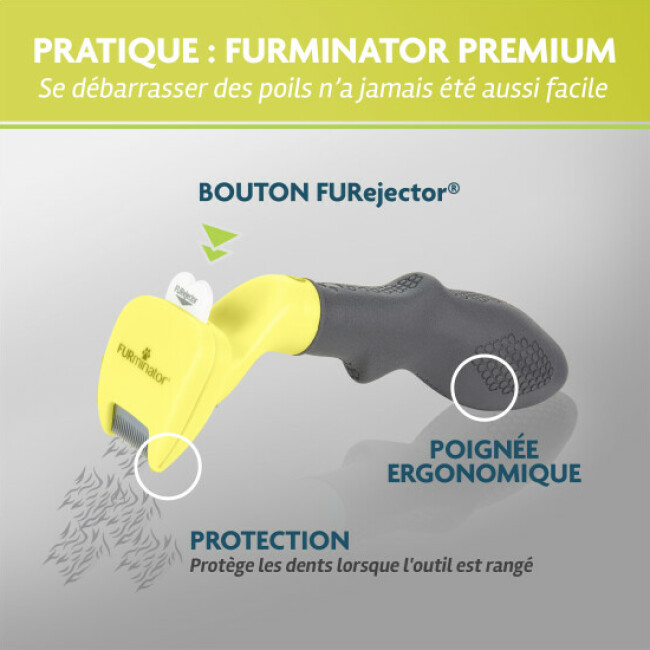Brosse FURminator pour chien à poils courts