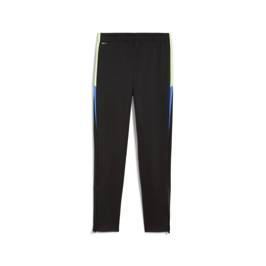 Puma individualLIGA Trainingshose