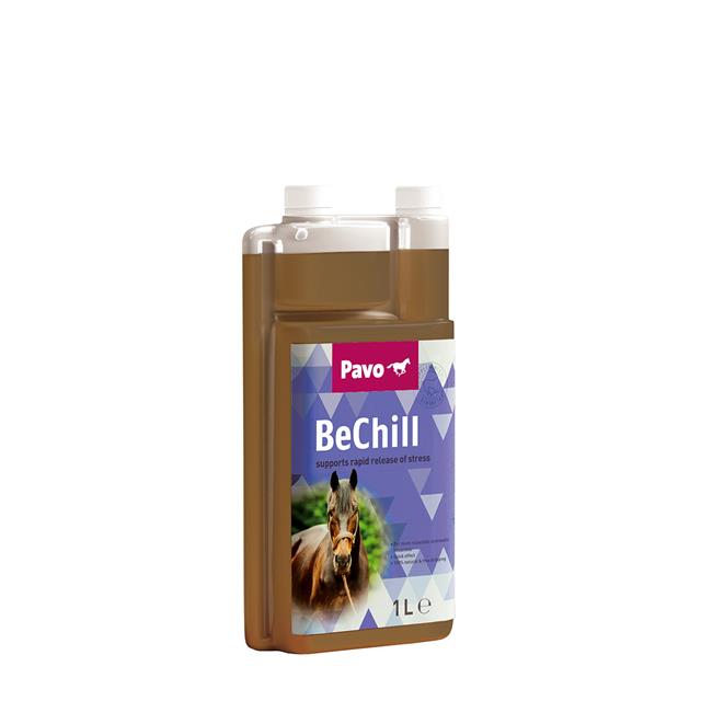 Pavo BeChill