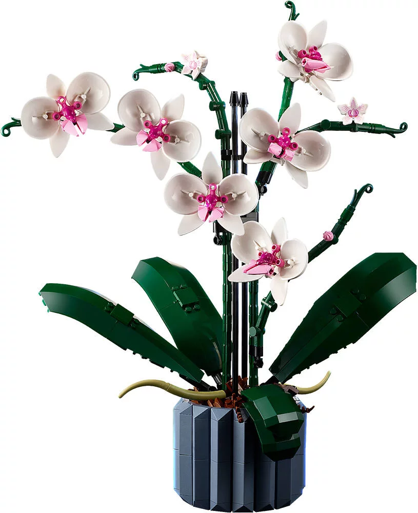 LEGO®ICONS 10311 - L'ORCHIDEE