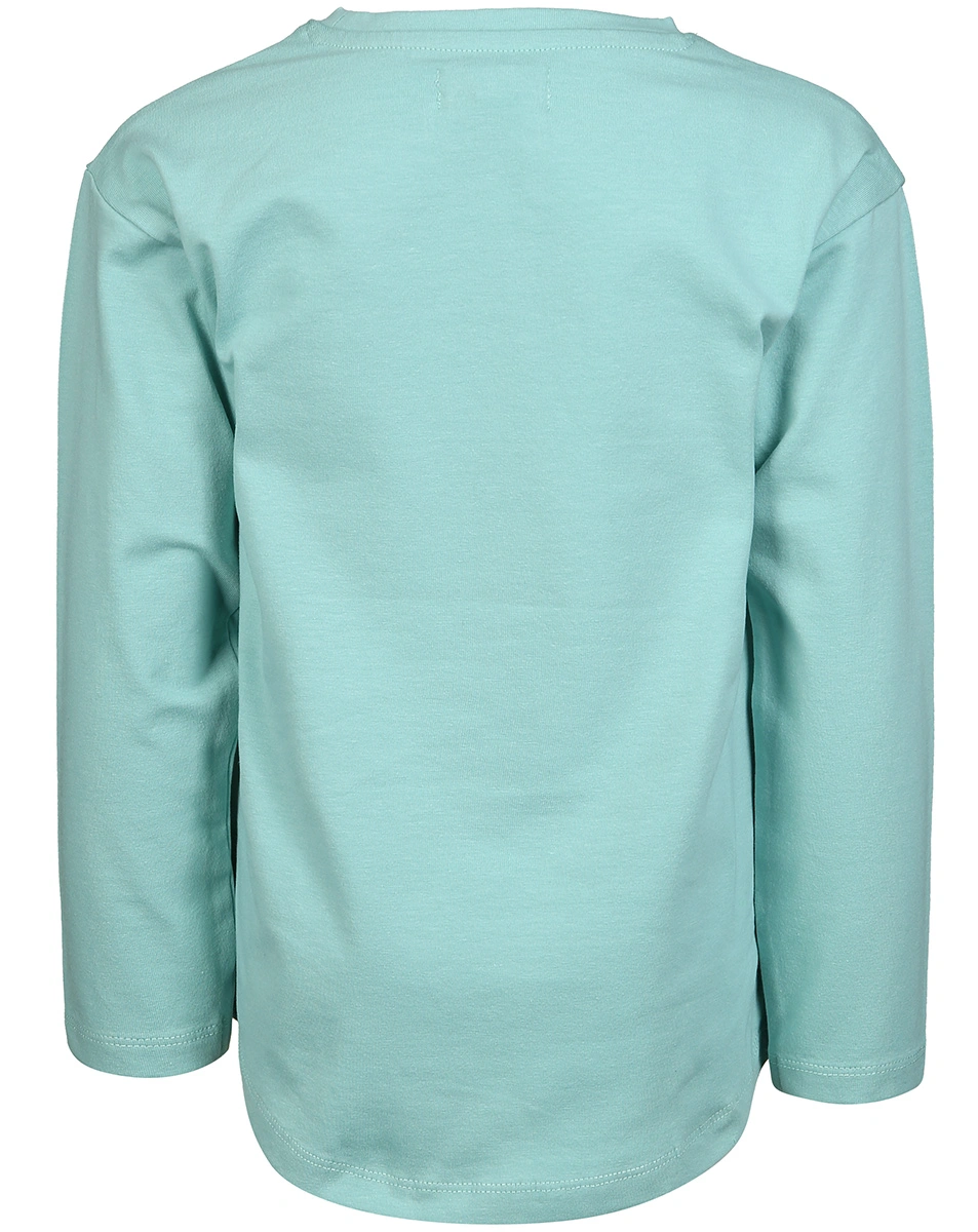 Langarmshirt BUNTE HERZEN in grün