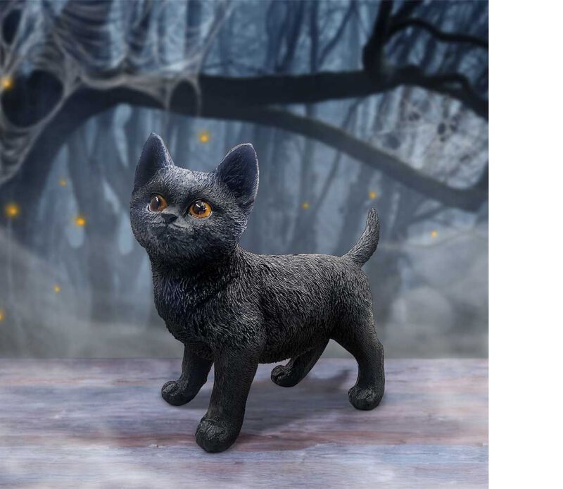 Charmed Companion | Nemesis Now Articles De Décoration