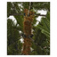 Naturtro premium juletre 270 cm
