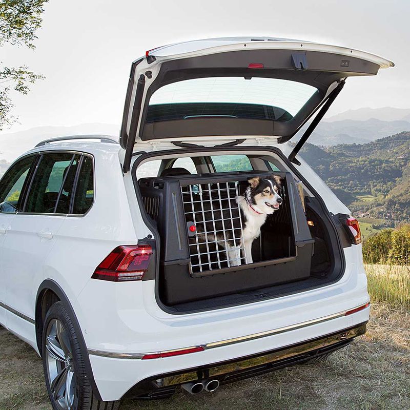 Cage de transport Ferplast Atlas Car Scenic