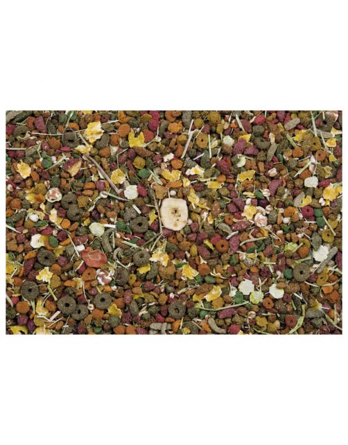 Versele-Laga Nature Original Cavia - Caviavoer