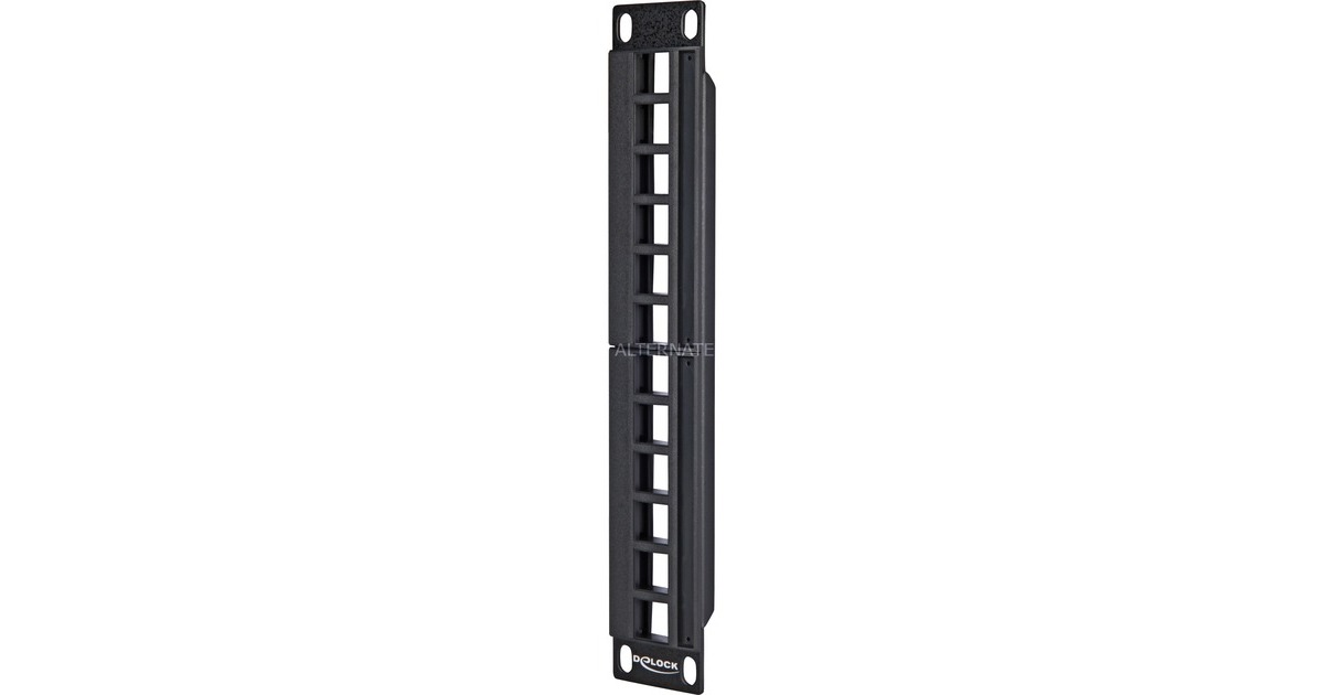 DeLOCKKeystone Patchpanel 10