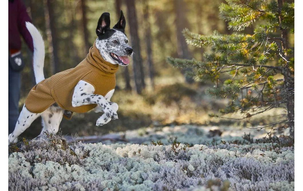 Wintermantel Warming Midlayer ECO, 65, SenfHundejacke mit Wärmereflektoren