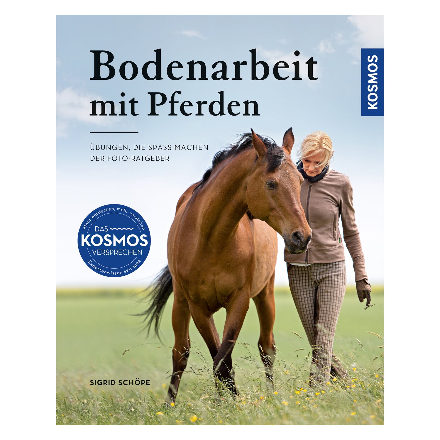 Bodenarbeit mit Pferden