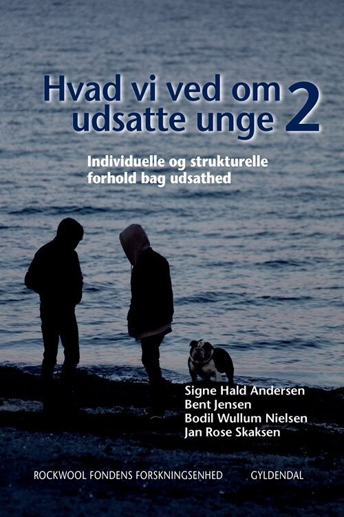 Hvad Vi Ved Om Udsatte Unge 2 - Rockwool Fondens Forskningsenhed - Bog
