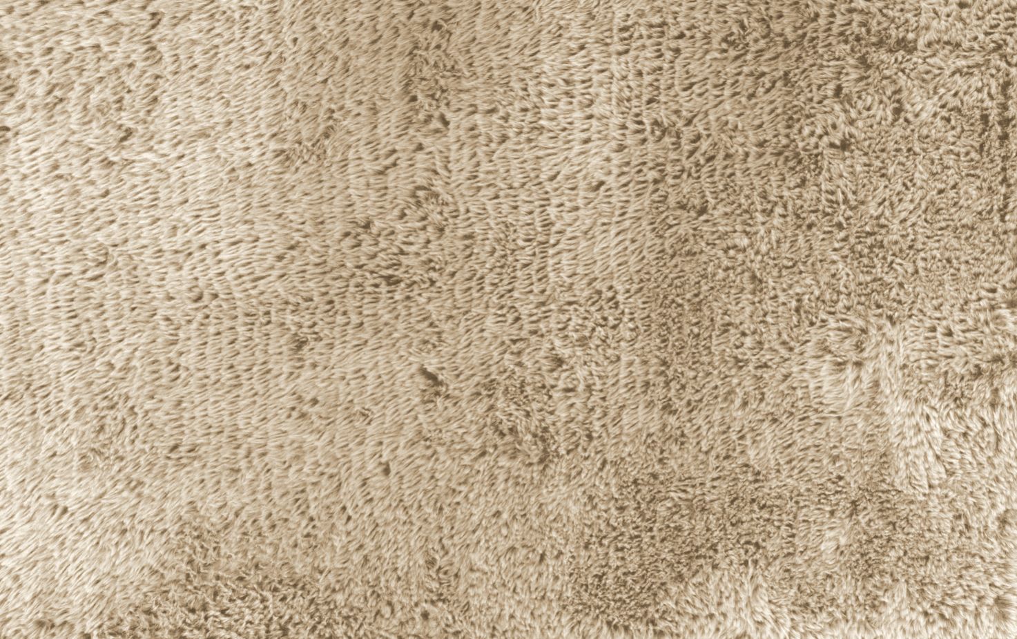 Vloerkleed 13 Crème Haddo