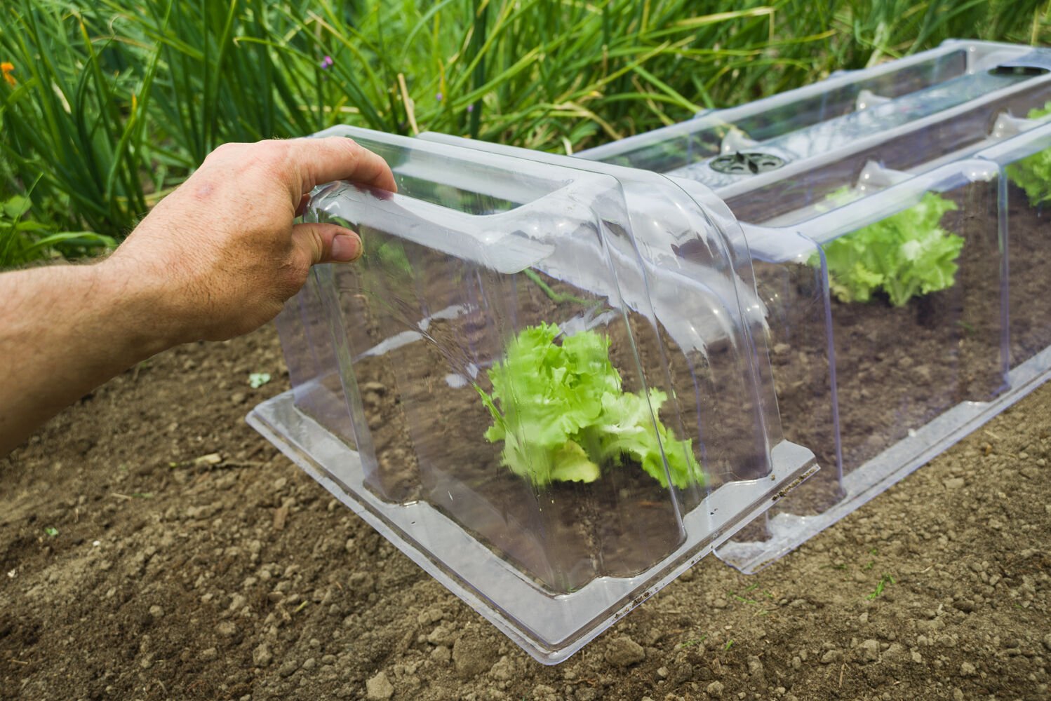 Nature Kweektunnel modulair eindstuk - Broeikas - Transparant - 22x40x21.5 cm