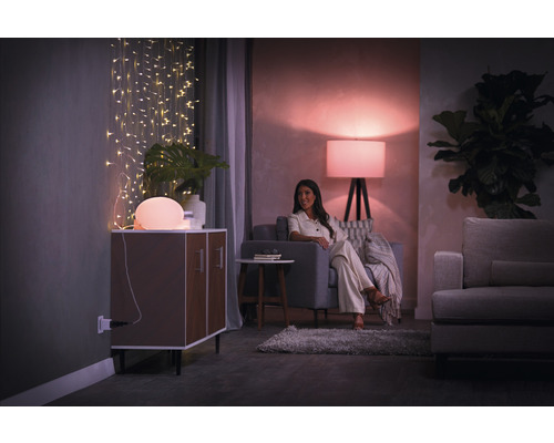 Philips Hue Smart Plug-adapter, wit - Compatibel met Smart Home van Hornbach