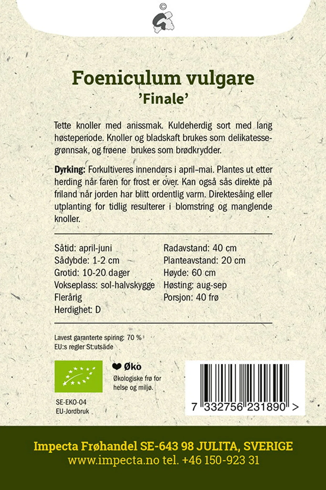 Foeniculum vulgare 'Finale' Søtfennikel 'Finale'