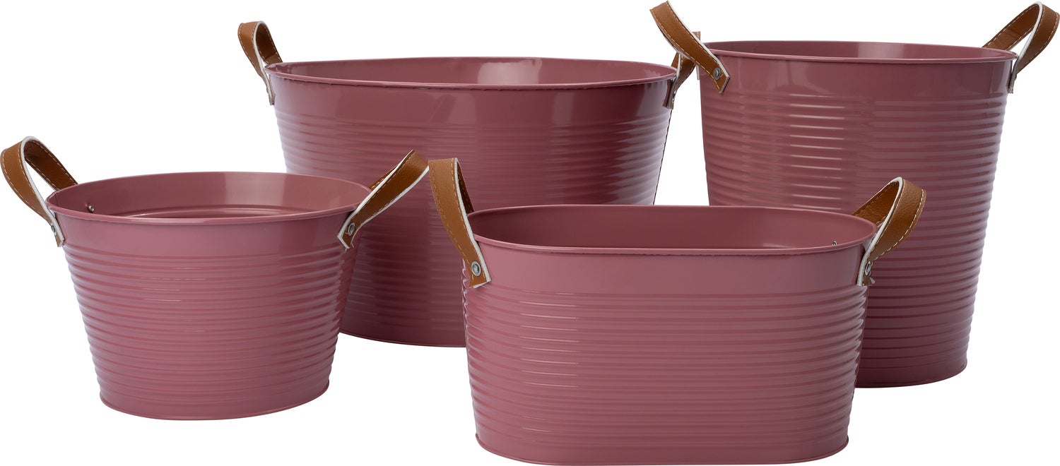 Intratuin plantenteil Radi roze D 23 H 15 cm