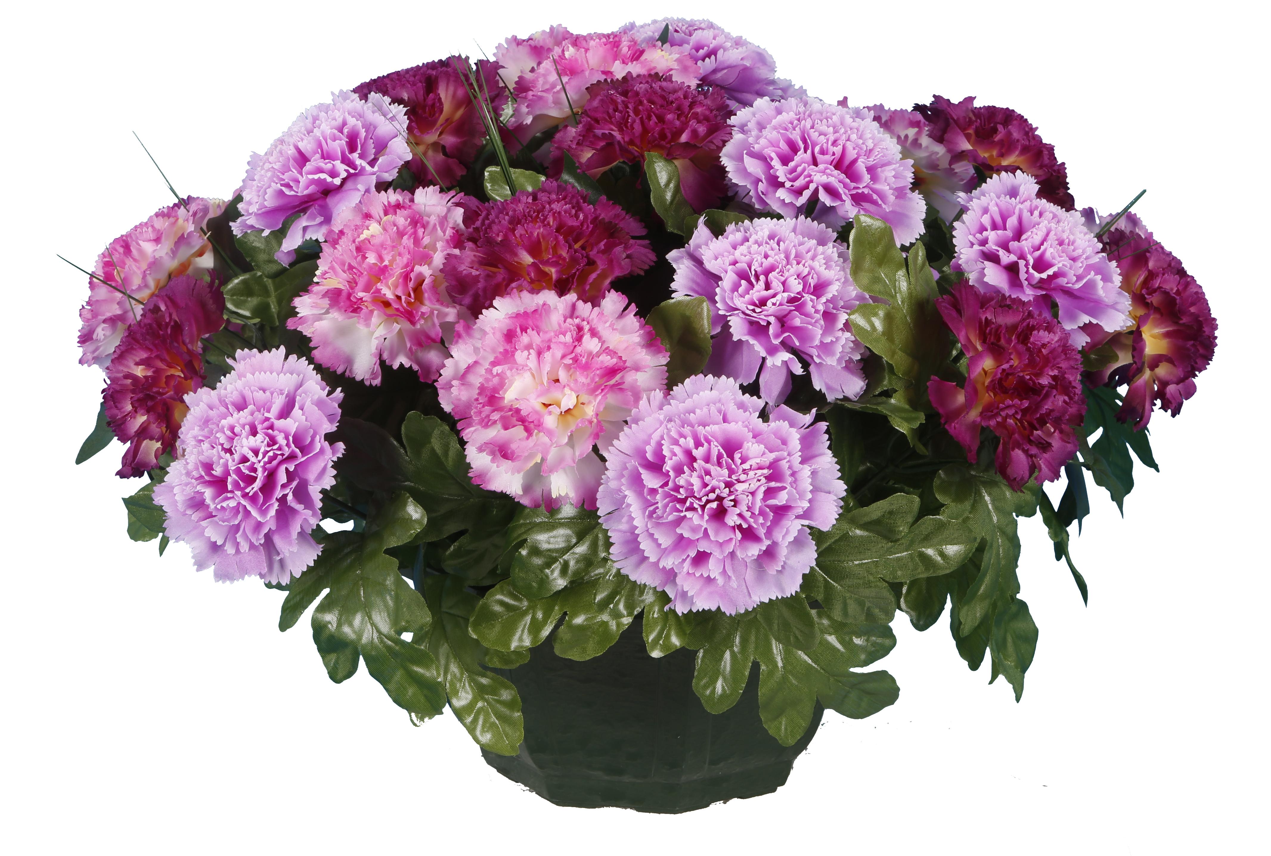COUPE OEILLET CAMAIEU