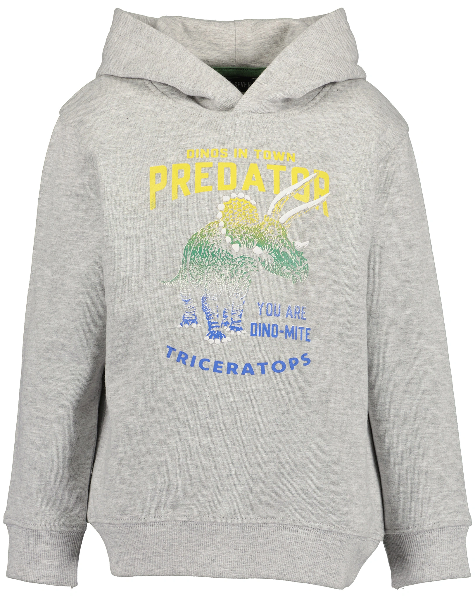 Kapuzen-Sweatshirt PREDATOR in nebel melange