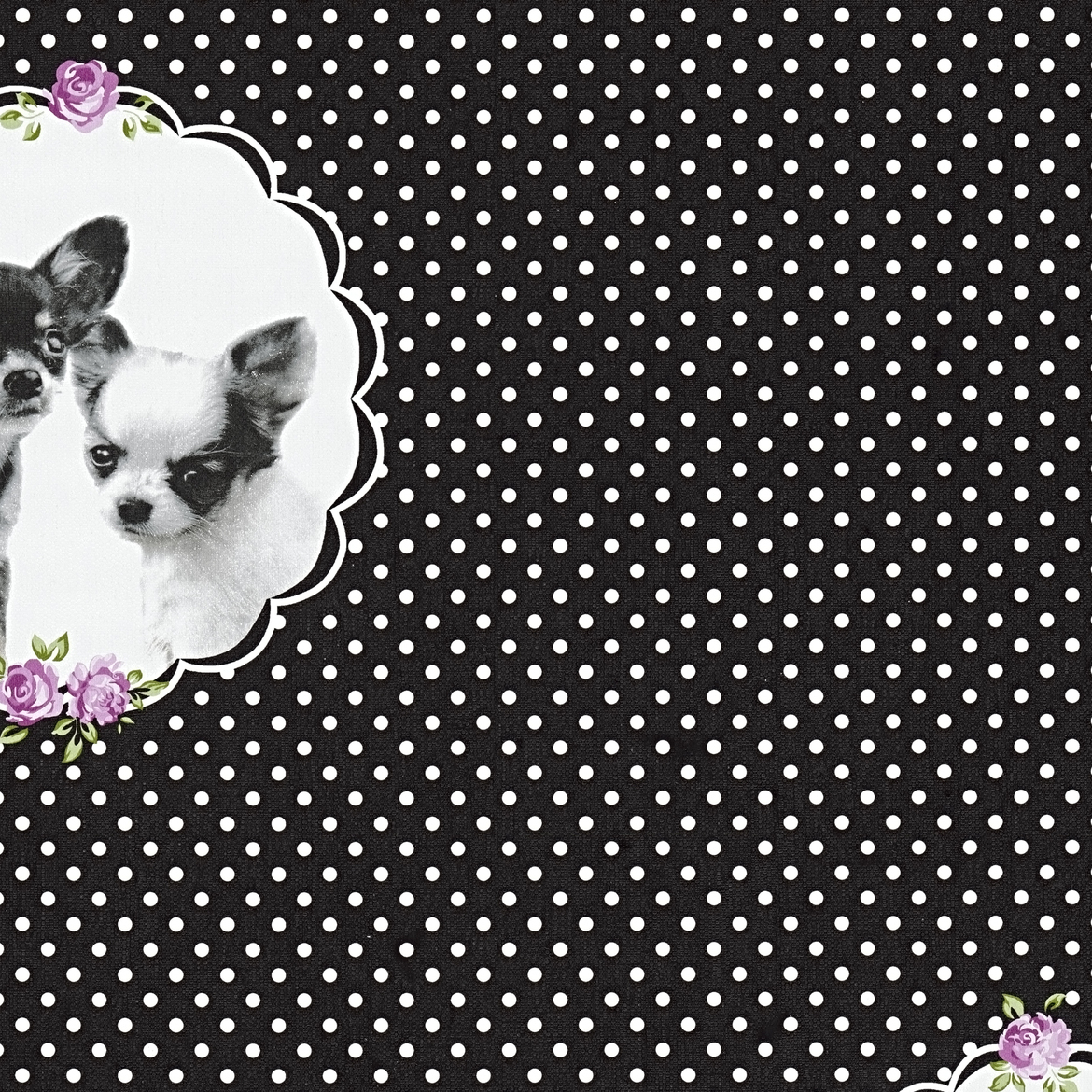 Vliestapete LITTLE STARS - schwarz-violett - 10 Meter