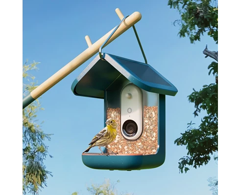 Birdbuddy Smart bird feeder w/ solar roof - Blue