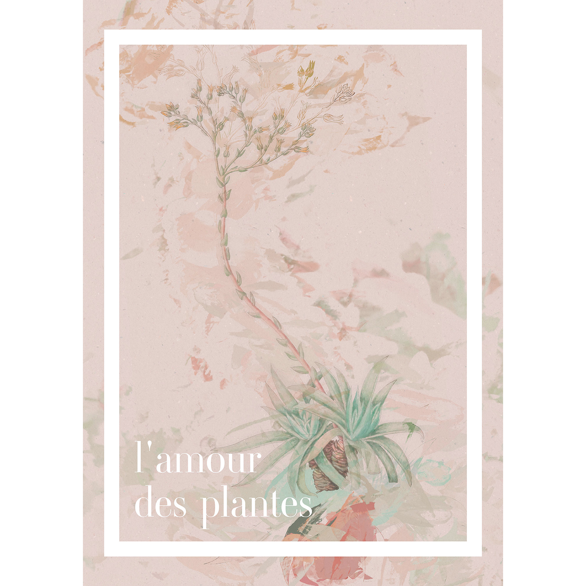 Wandbild L'AMOUR DES PLANTES - 50x70 cm