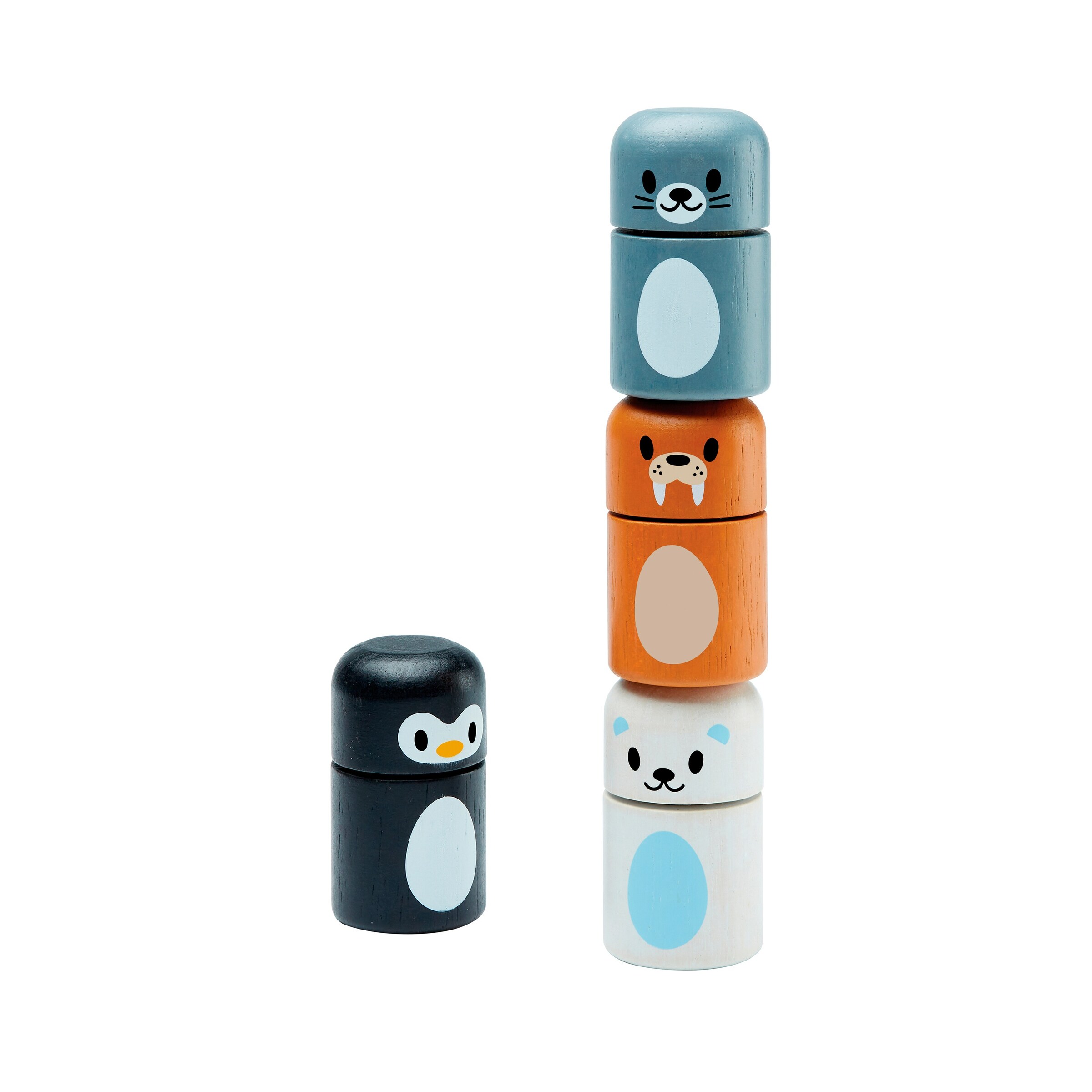 PlanToys Polartiere sortieren