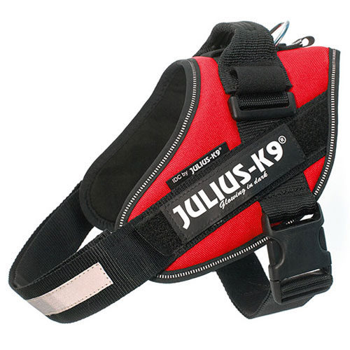 Coleira ergonômica vermelha Julius-K9 IDC para cães