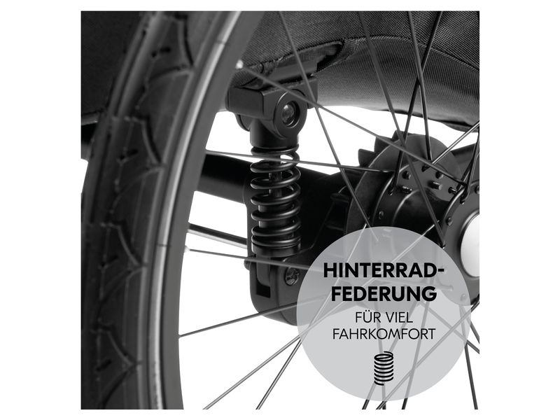 Hauck Veloanhänger Dryk Duo Plus Schwarz Veloanhänger für 2 Kinder