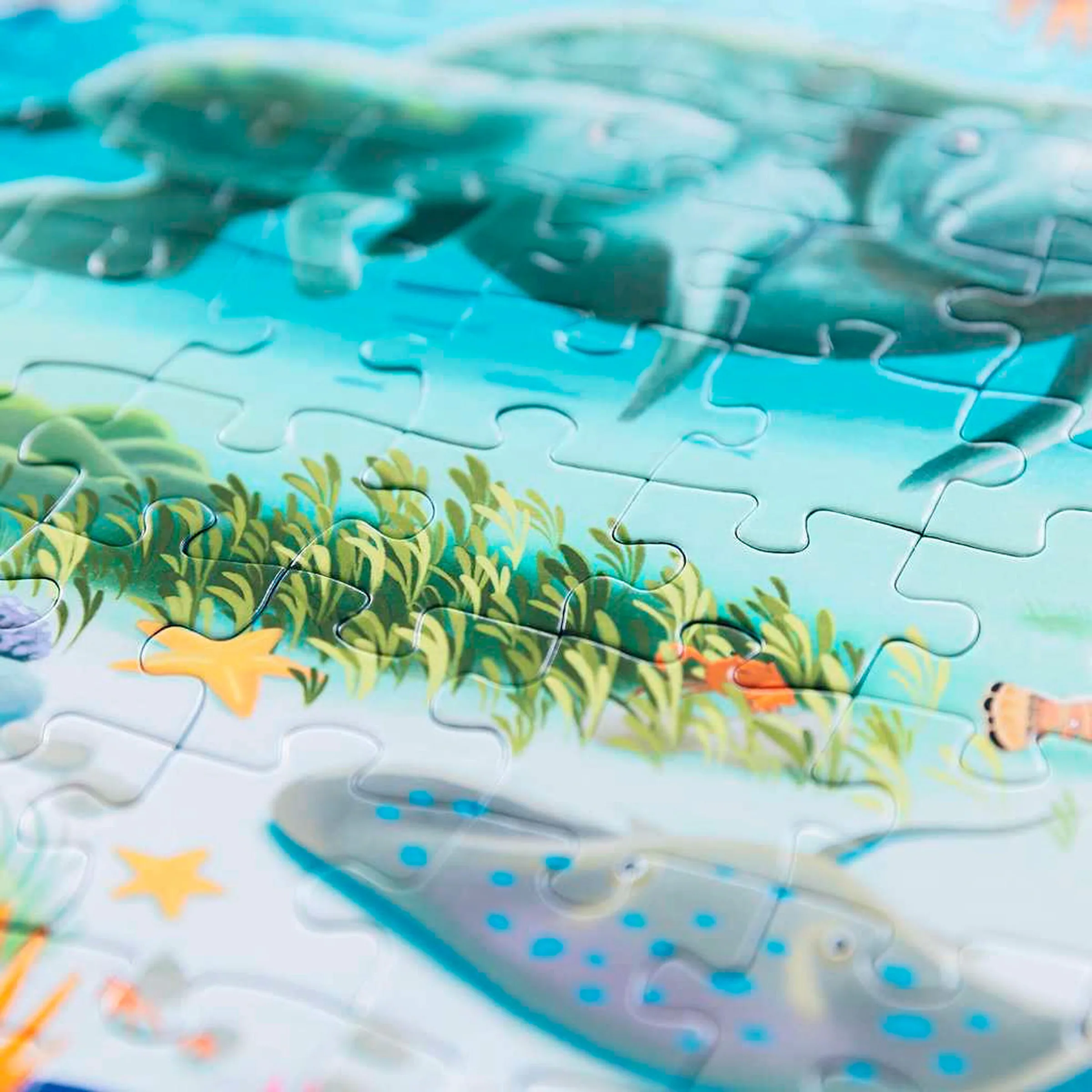 Ravensburger Meerestiere