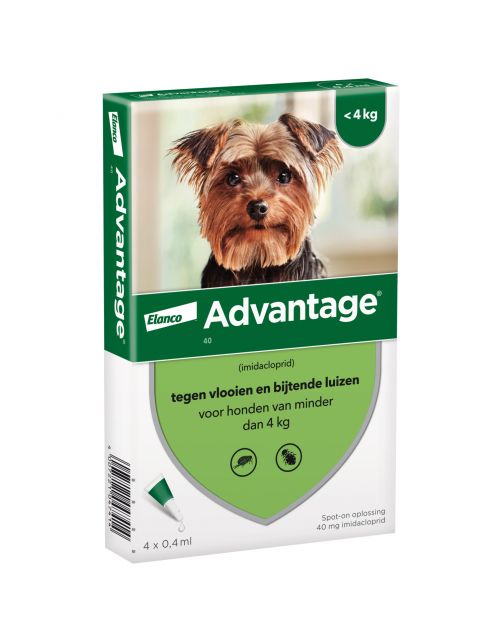 Advantage Hond 4 pip - Anti vlooien en luizenmiddel
