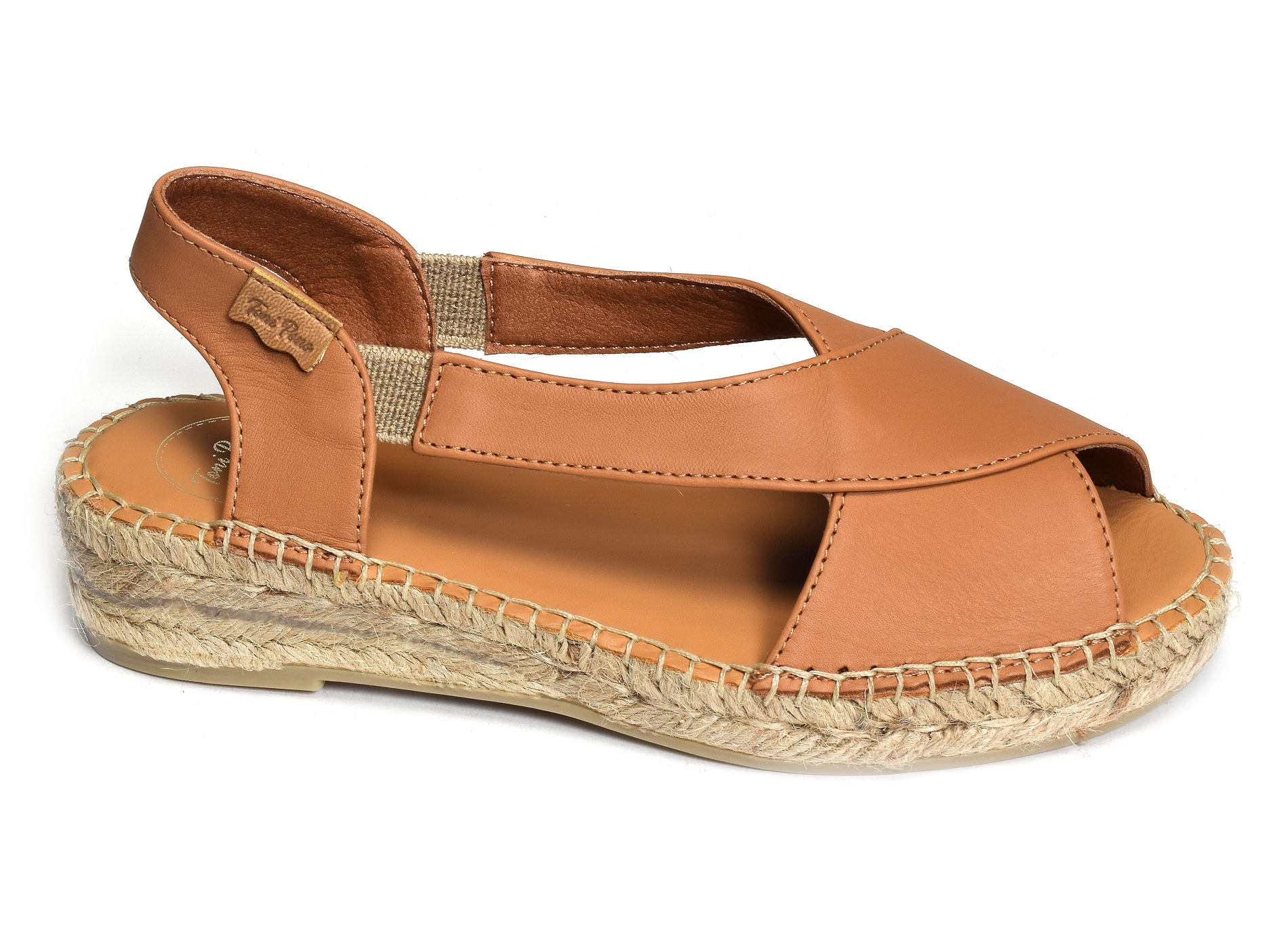 Elda camel