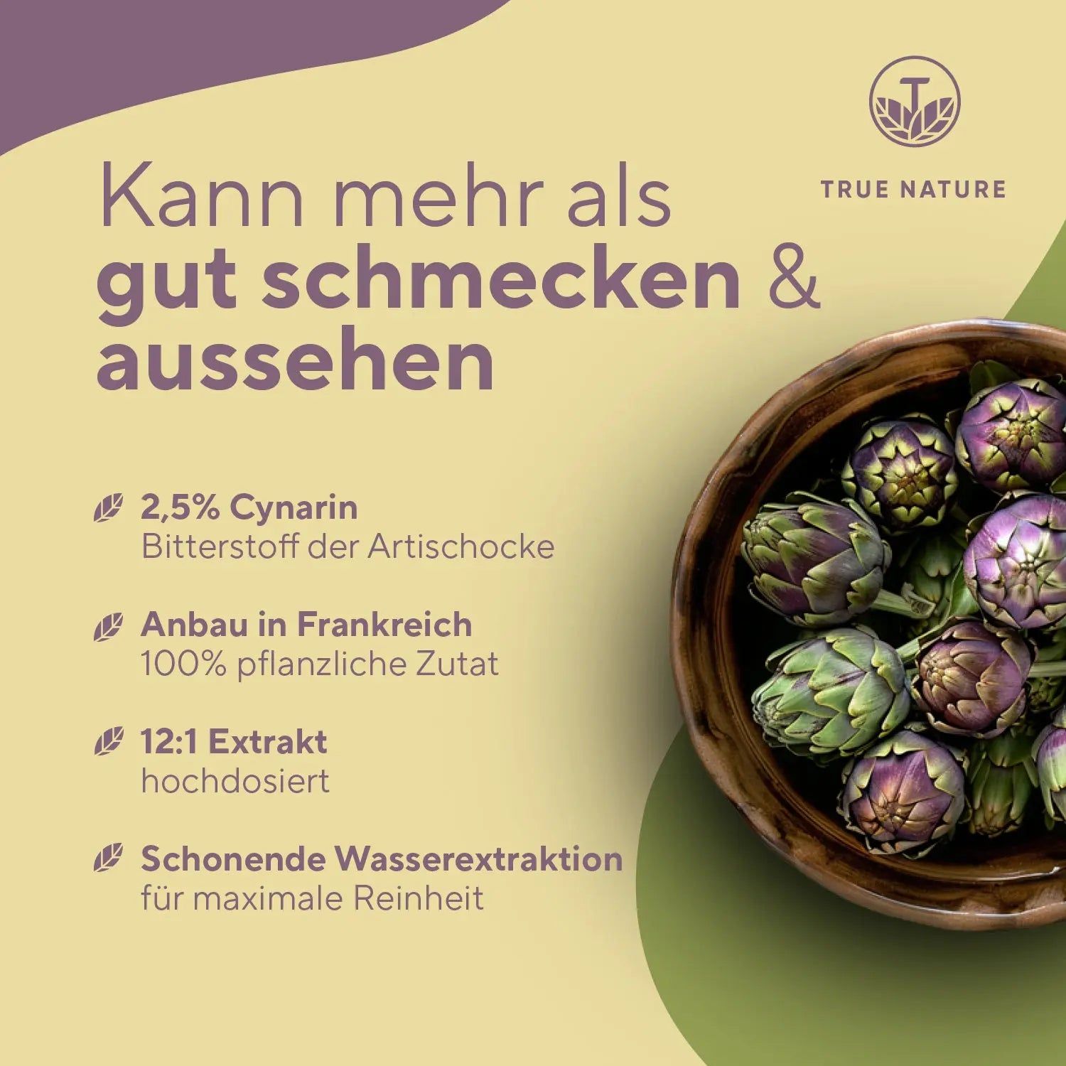 TRUE NATURE® Artischocken Extrakt Kapseln mit 2,5% Cynarin - Vegan & Made in Germany