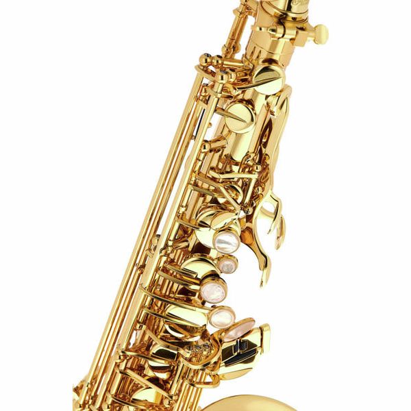 Selmer Alt-Saxophon Super Action SA80 II