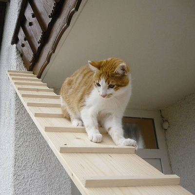 Elmato Katzenleiter mit Verbindung in verschiedenen Grössen
