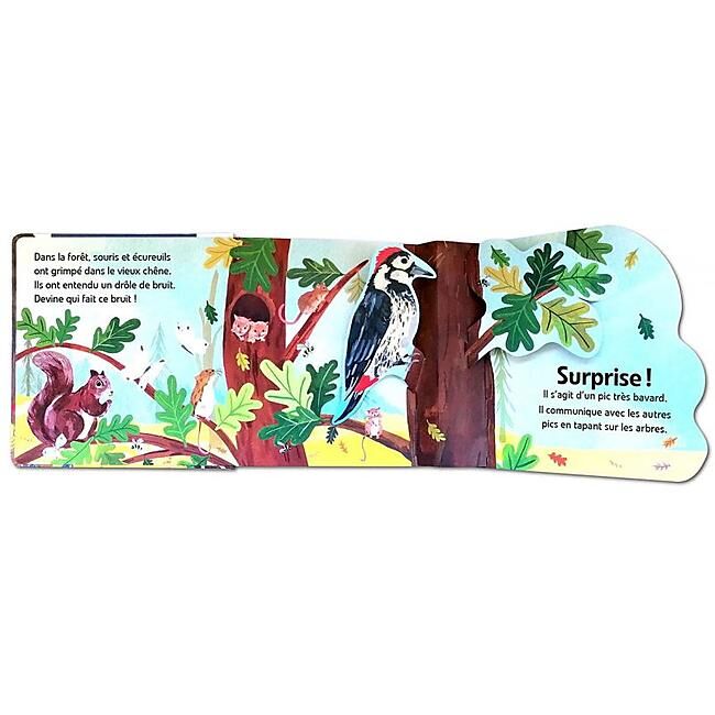 CARTOTHEQUE - LA FORET POP UP