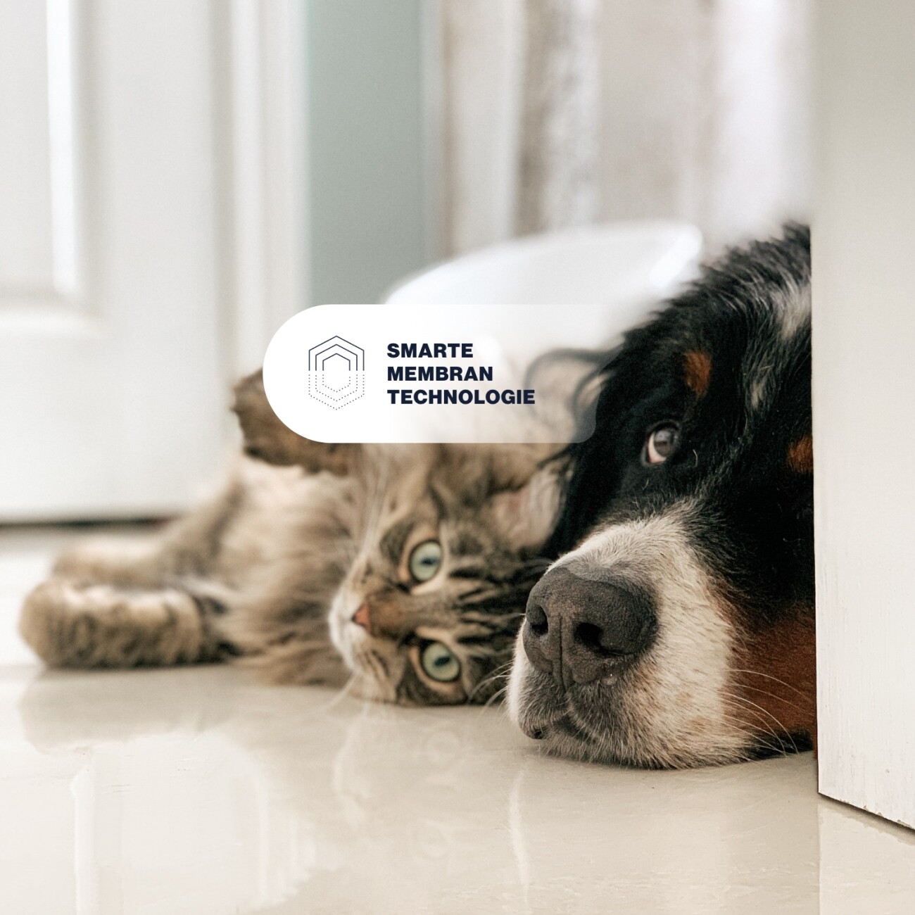 KYVETIN Spray Skin Repair für Hunde und Katzen