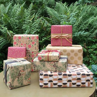 Rouleau papier cadeau kraft 0,7 x 2 m 65g SILVA - Viquel