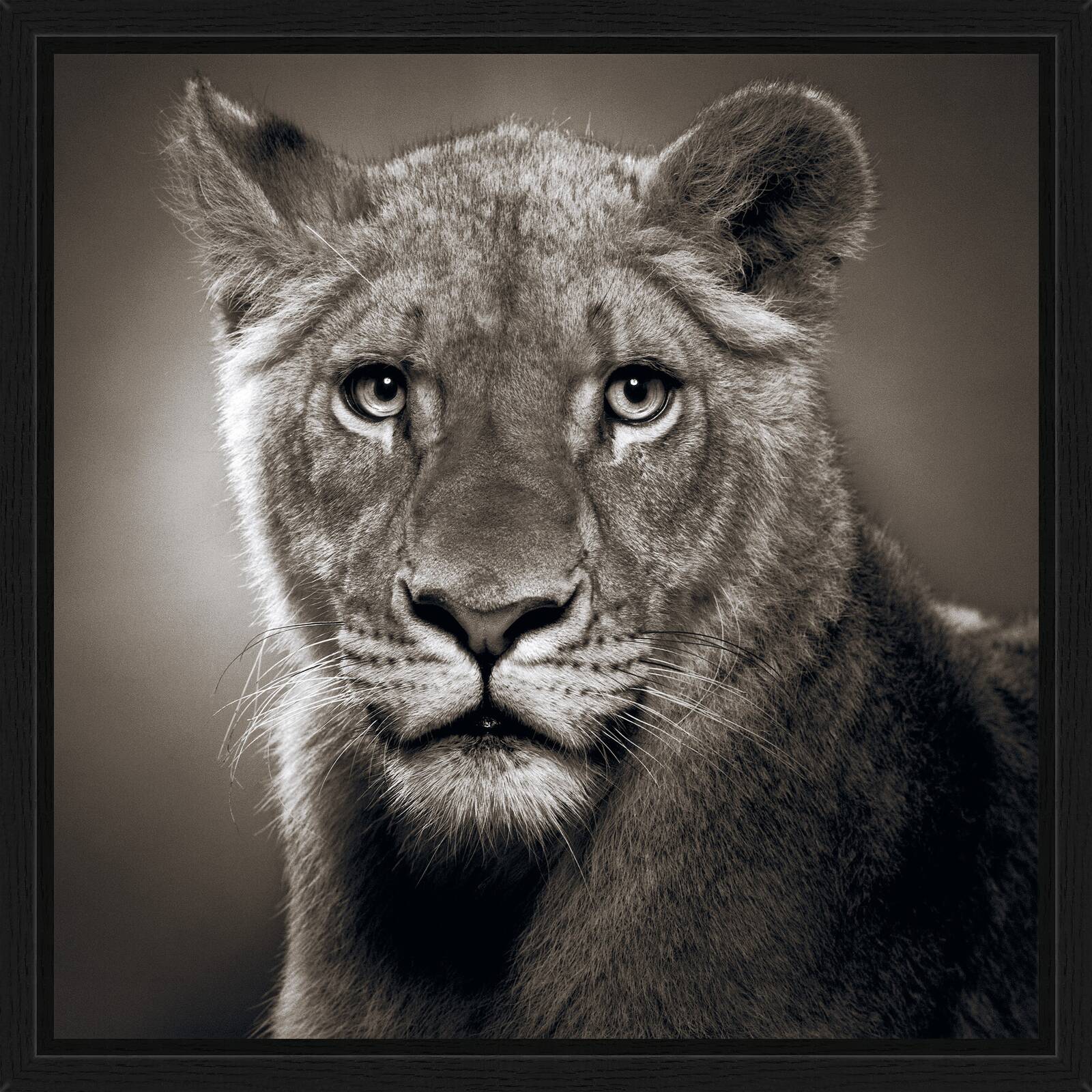 Borani by Alexander Von Reiswitz - Limited Edition. Edition of: 100. Signed.