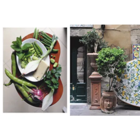 DK Verlag Cucina Vegetariana