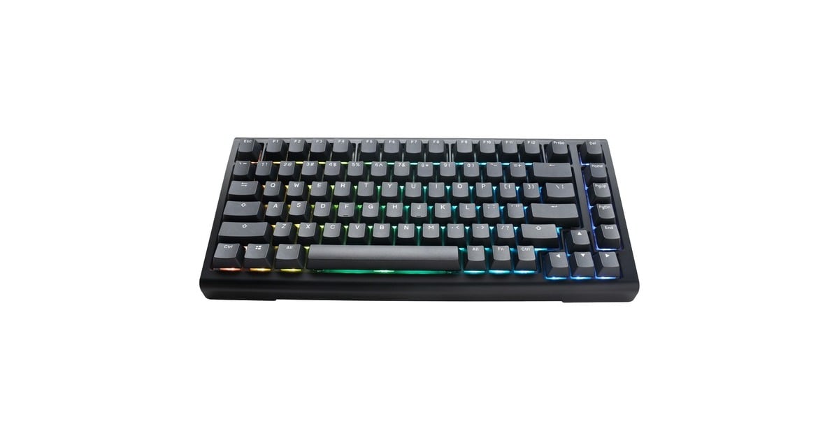 DuckyProjectD Tinker 75 met QMK/VIA, toetsenbord  (Zwart/wit, US lay-out, Cherry MX Blue, RGB led, Double-shot PBT, Hot-swappable, Gasket mount, 75%)