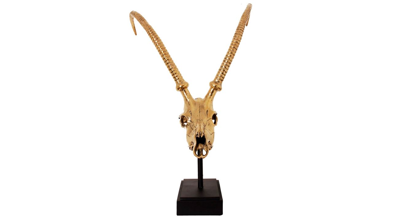 Deco H13 Gazelle SkullB53 x D60 x H71 cm
