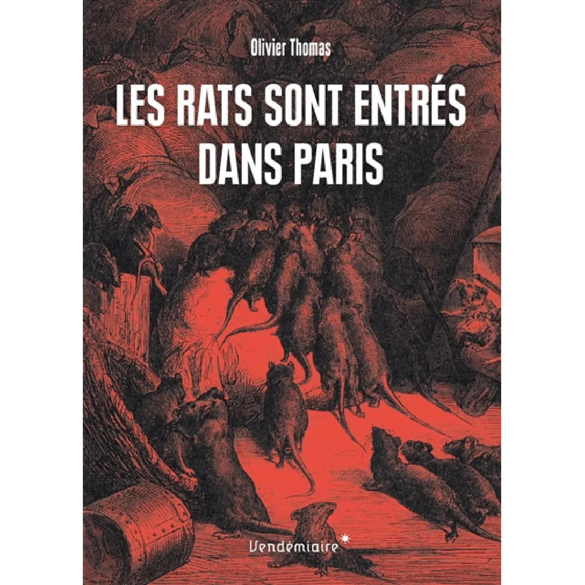 Les rats sont entrés dans Paris · Occasion