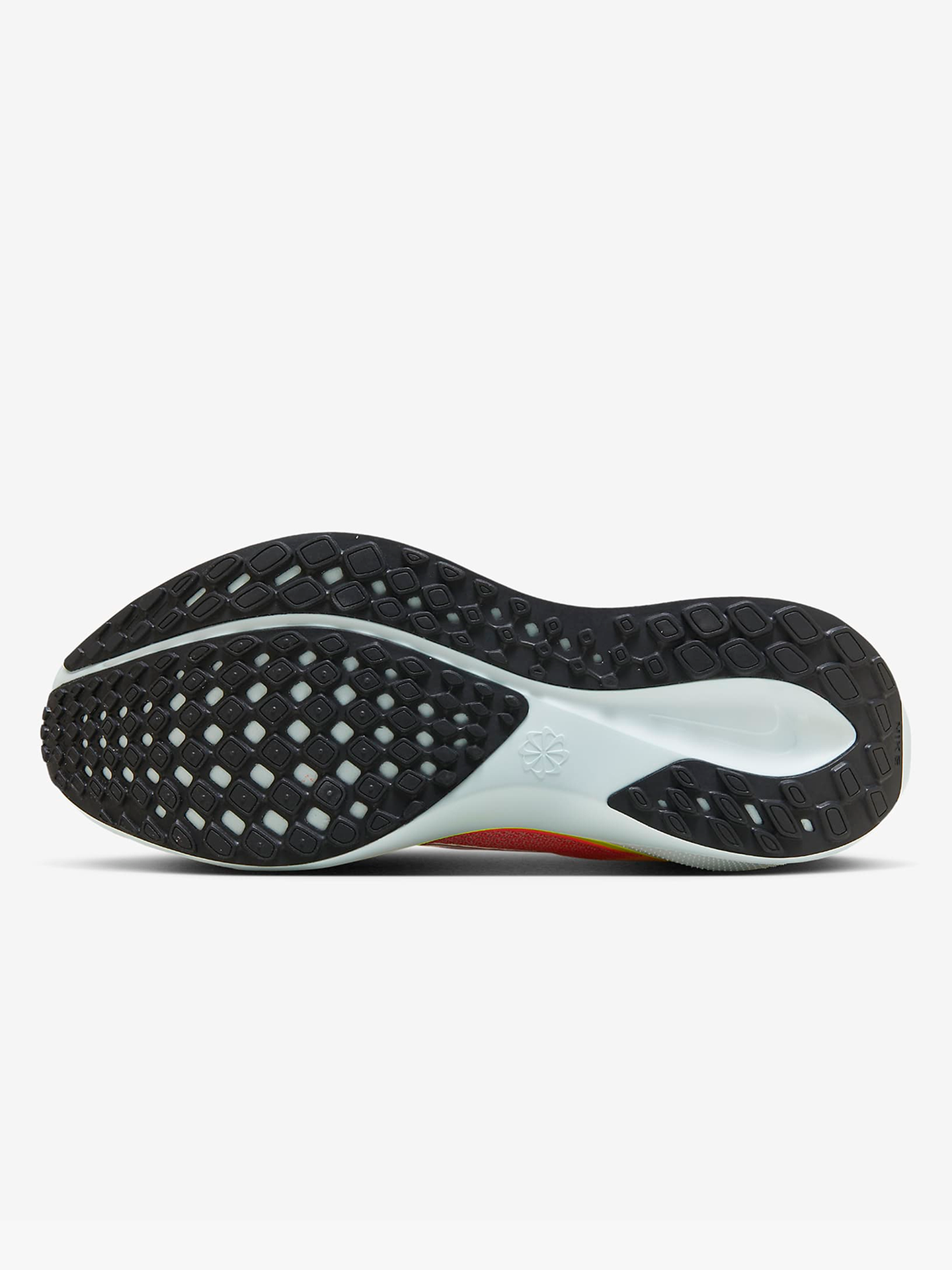 Pegasus 41
